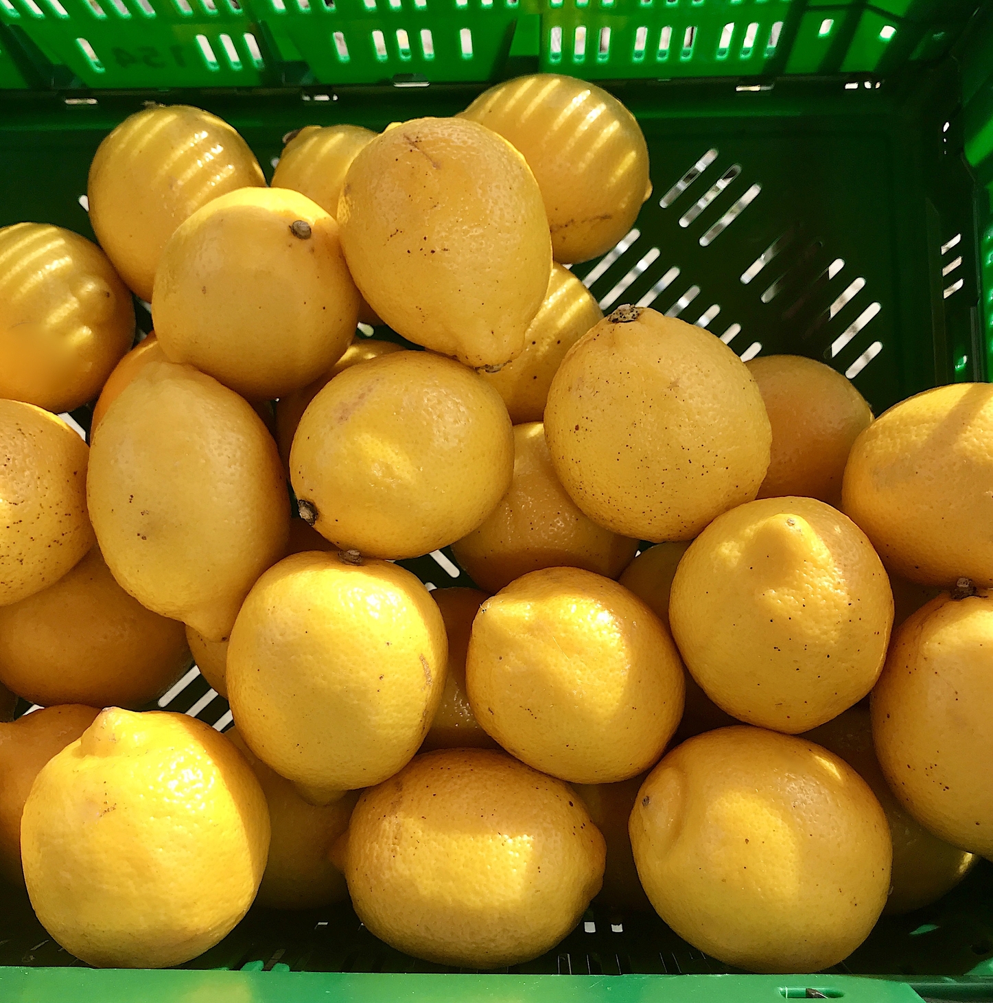 fresh-lemons-in-a-green-box-seen-from-above-2023-11-27-05-29-53-utc (1)